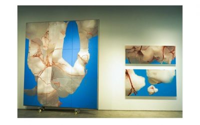 Ruang Tafsir dalam Pameran Tunggal Bertajuk “Alih” oleh Handiwirman Saputra