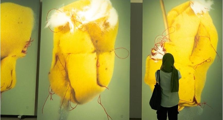 Melihat Ulang: Ketika Persepsi Kita Mulai Dipertanyakan