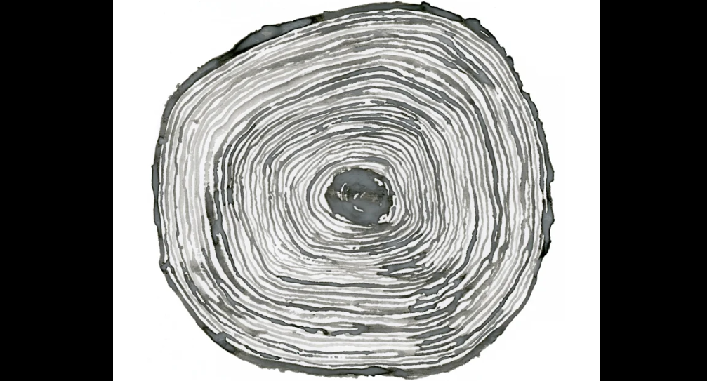 Jakarta Art Paper: Ketika Kertas Menjadi Suara Alam